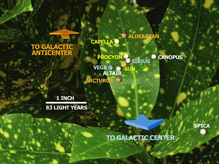 Nearby stars depicted