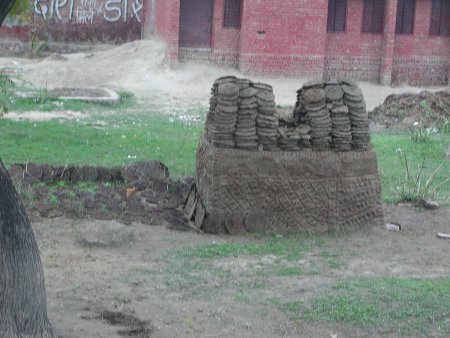 Cow patties against a wall