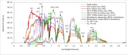 Graph of exoplanet foliage possibilities