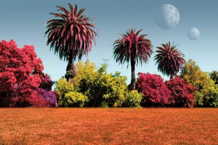 Exotic colors on an alien world