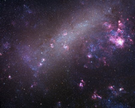 The Large Magellanic Cloud