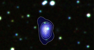 xmm_slew_survey_discovery_l