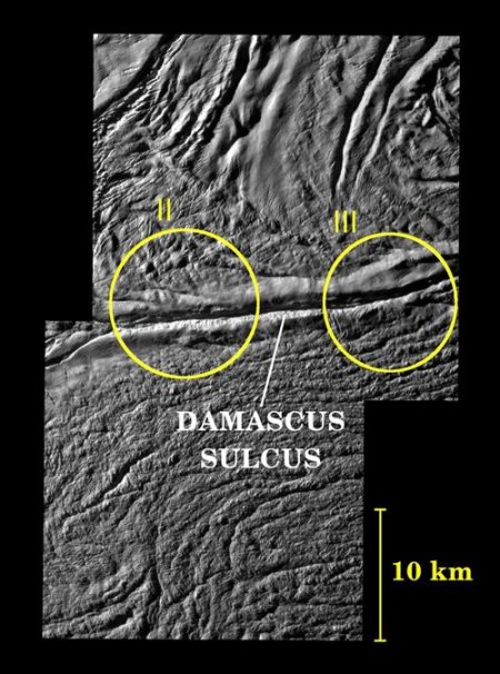 damascus_sulcus