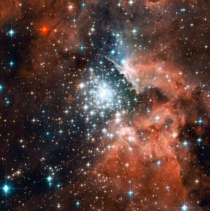 young_cluster