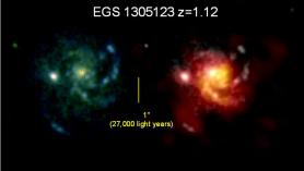 EGS1305123galaxy.lg_horiz
