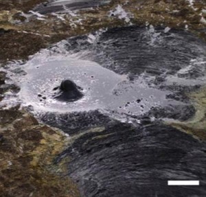 pitch_lake