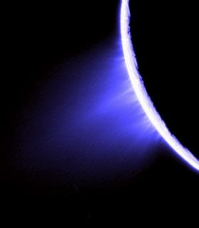 Endeladus