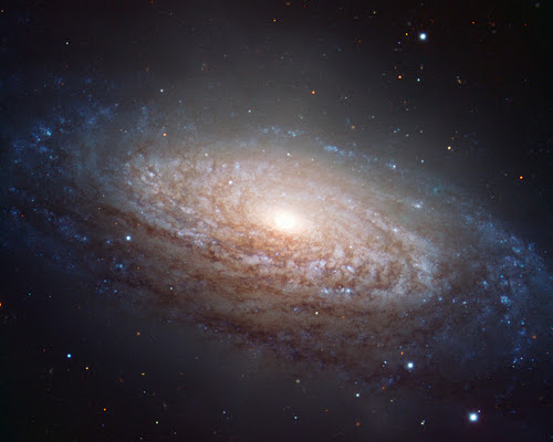 leo galaxy