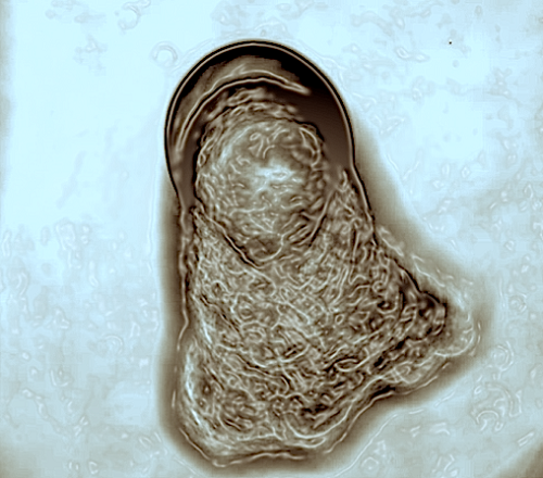 Figure 3 NC
