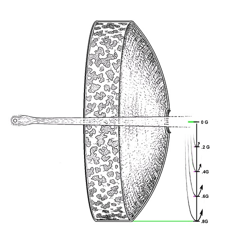 BOWLDIAG4