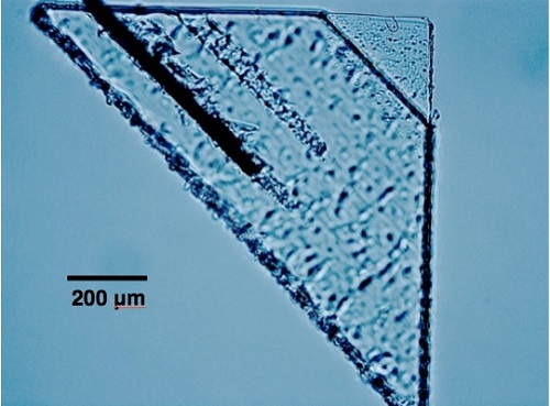 micrograph-of-sorok-picokeystone_2