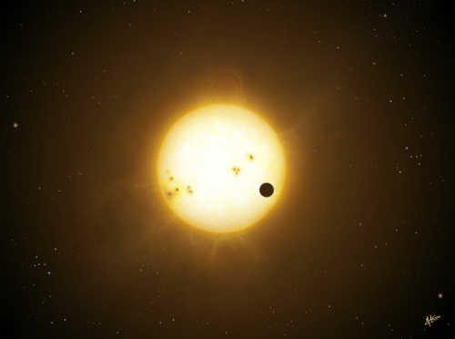 wasp_transit_small