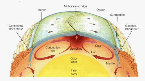 2mantle_convection_cell