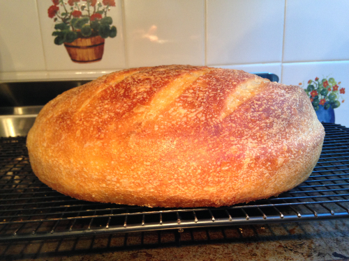 sourdough