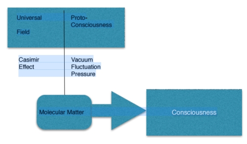 fig01