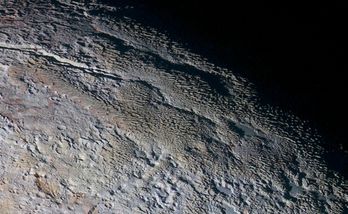 fig1