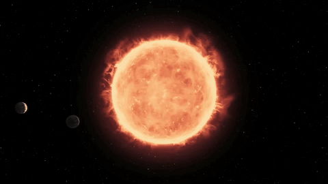 terrestrial