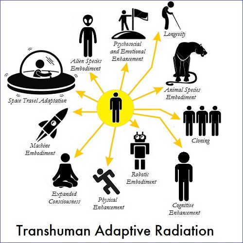 transhuman-adaptive-radiation-2