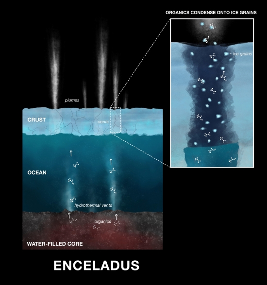 Enceladus: New Organic Compounds via Cassini Data