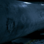 The “emergency fuel probe” that the people of the Aniara had once put so much hope in sits alone in the ship’s dimly lit holding bay, unopened and still mysterious. The mysterious vessel bears the scars of the crew’s failed efforts to wrest its secrets.